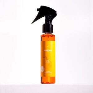 Spray d'ambiance RÉ 100 ml